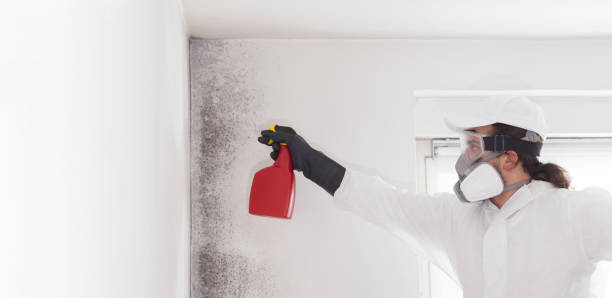 Best Crawl Space Mold Remediation in Sargent, TX
